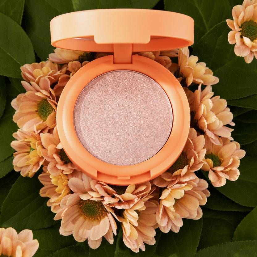 Catrice Cosmetics SEEKING FLOWERS Cream-To-Powder Highlighter (5.5g)