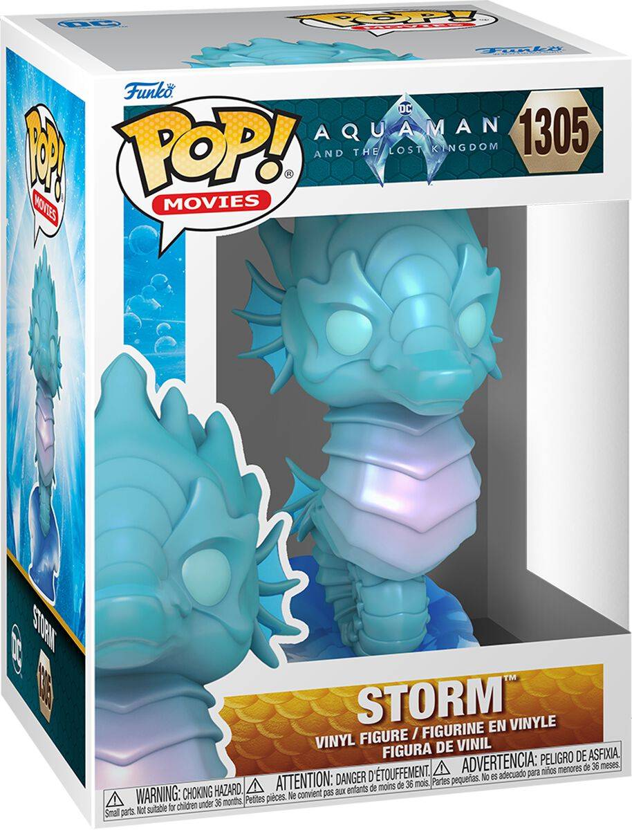 EMP "Aquaman and the lost Kingdom - Storm Vinyl Figur 1305" Funko Pop! von Aquaman