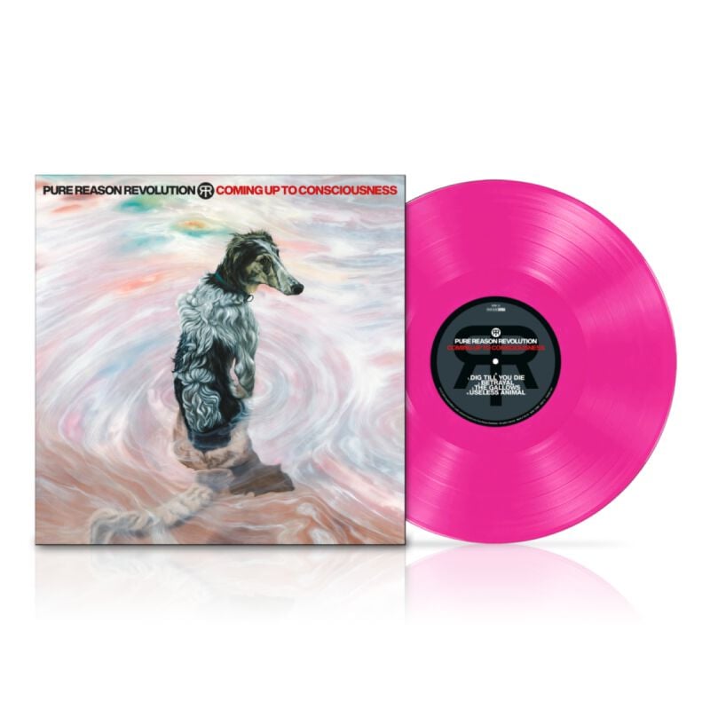 EMP "Coming up to consciousness" LP von Pure Reason Revolution
