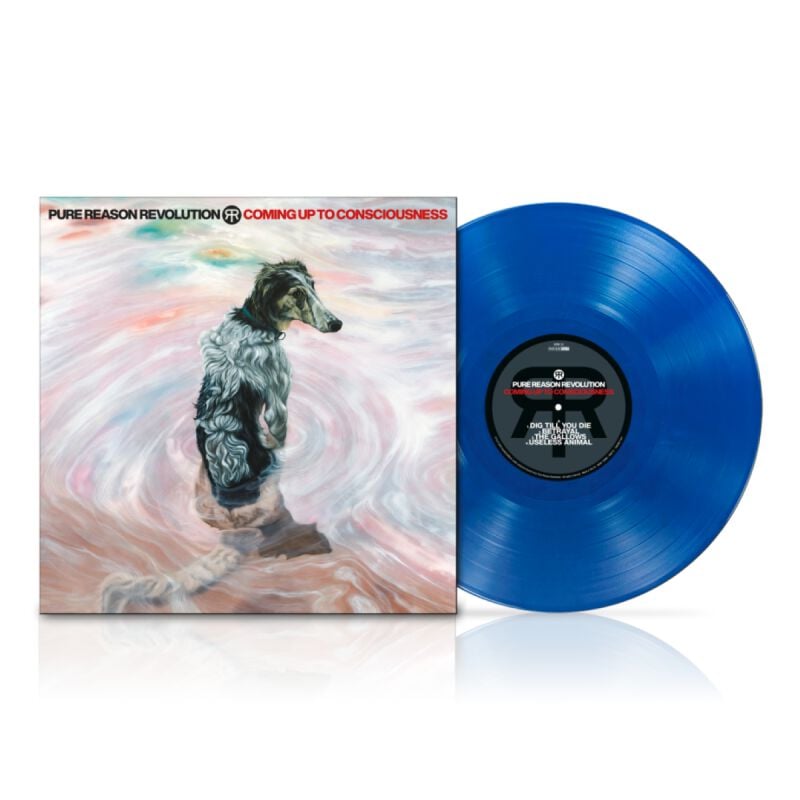 EMP "Coming up to consciousness" LP von Pure Reason Revolution