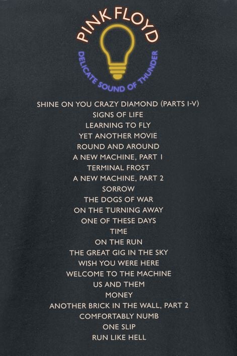 EMP "Delicate Sound Of Thunder Stage" T-Shirt Schwarz Von Pink Floyd