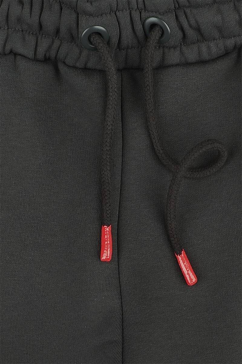 EMP "Alpha RP Short" Short Grau Von Alpha Industries