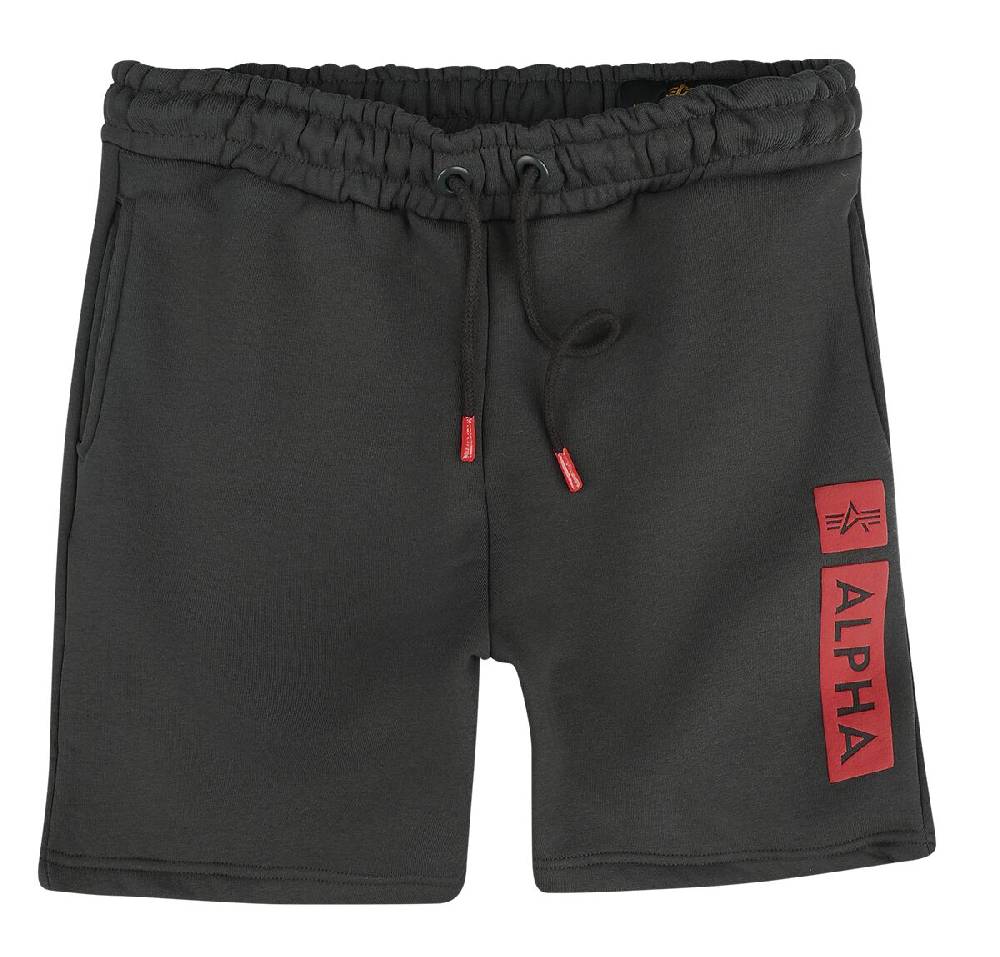 EMP "Alpha RP Short" Short grau von Alpha Industries