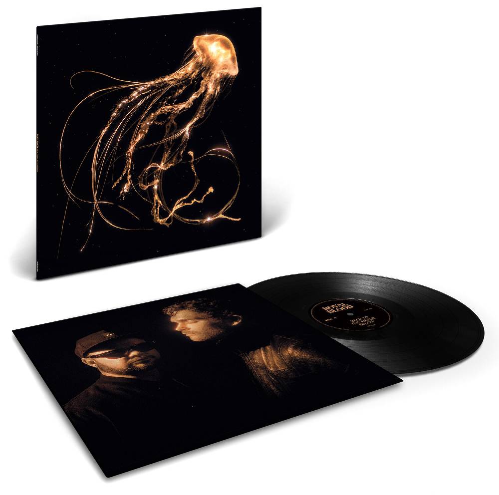 EMP "Back to the water below" LP von Royal Blood