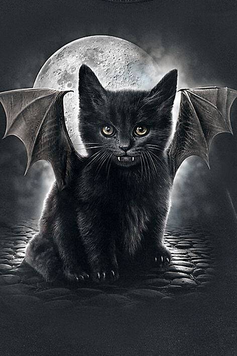 EMP "Bat Cat" Top Schwarz Von Spiral