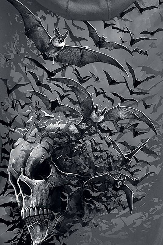 EMP "Bat Skull" Kapuzenpullover Grau Von Spiral