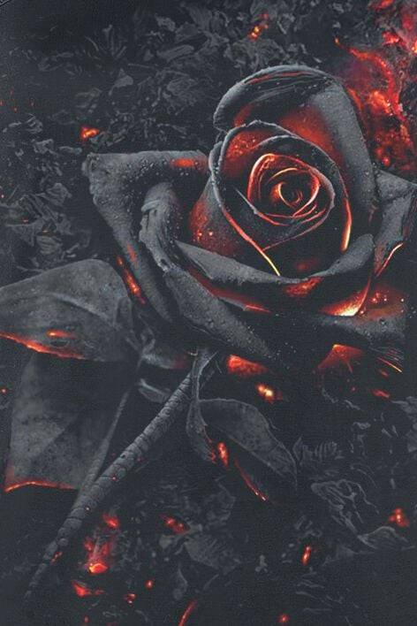 EMP "Burnt Rose" Top Schwarz Von Spiral