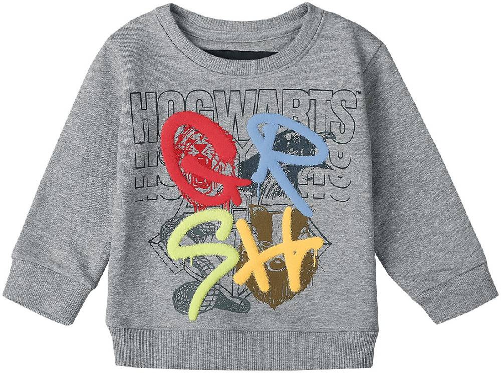 EMP "Häuser" Sweatshirt hellgrau von Harry Potter