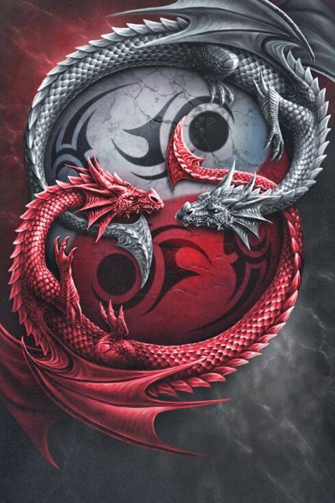 EMP "Infinity Dragons" T-Shirt Schwarz Von Spiral