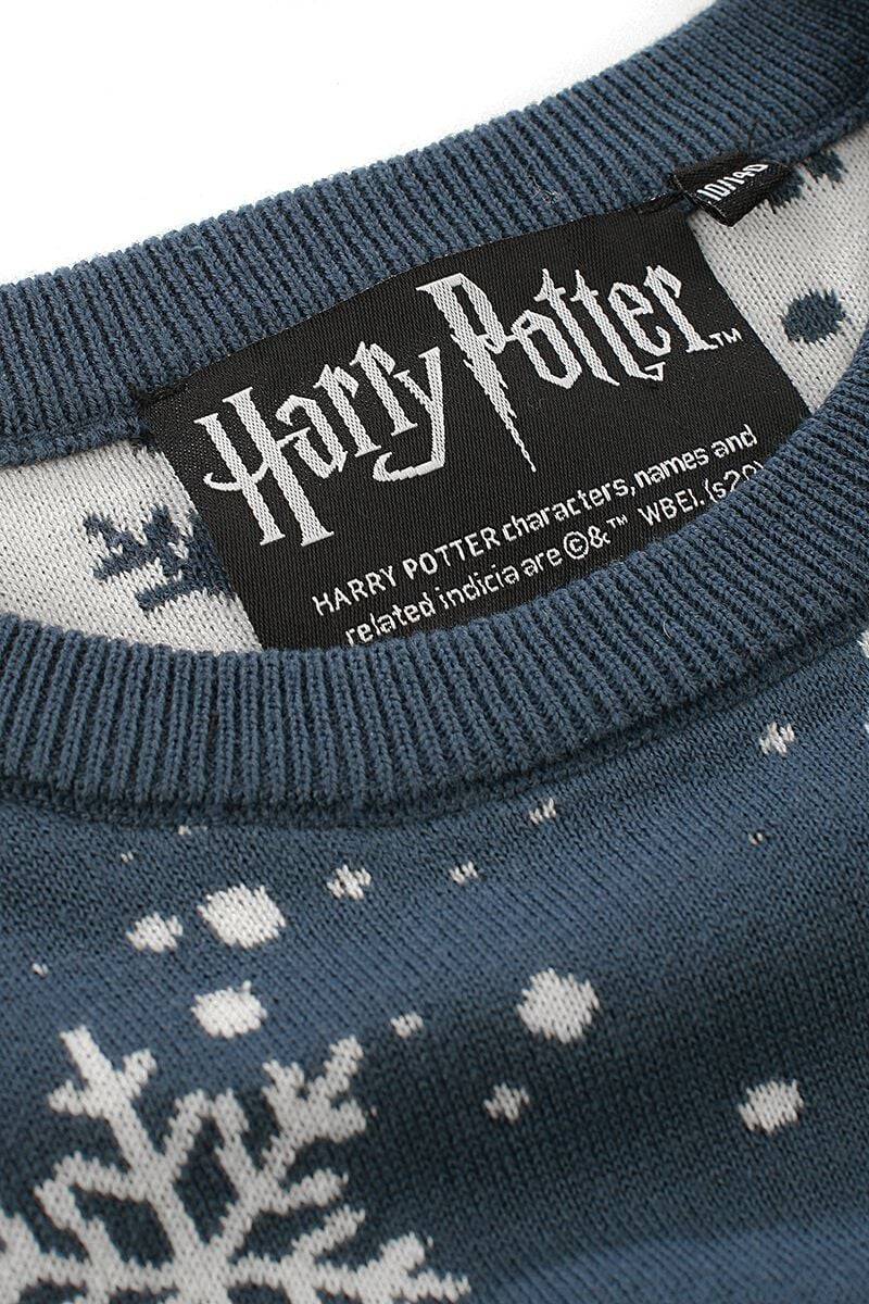 EMP "Kids - Hedwig" Sweatshirt Blau Von Harry Potter