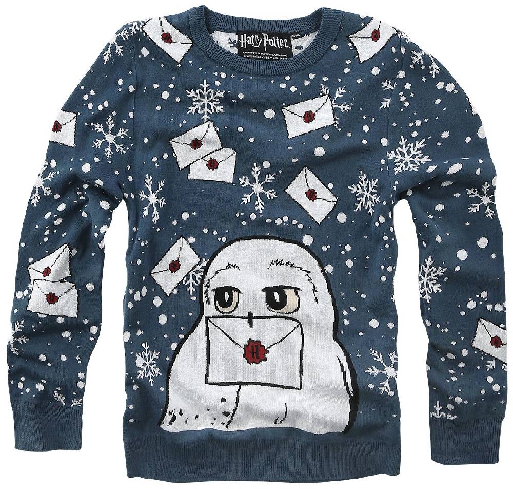 EMP "Kids - Hedwig" Sweatshirt blau von Harry Potter