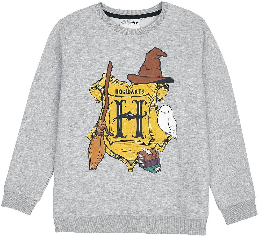 EMP "Kids - Hogwarts" Sweatshirt grau von Harry Potter