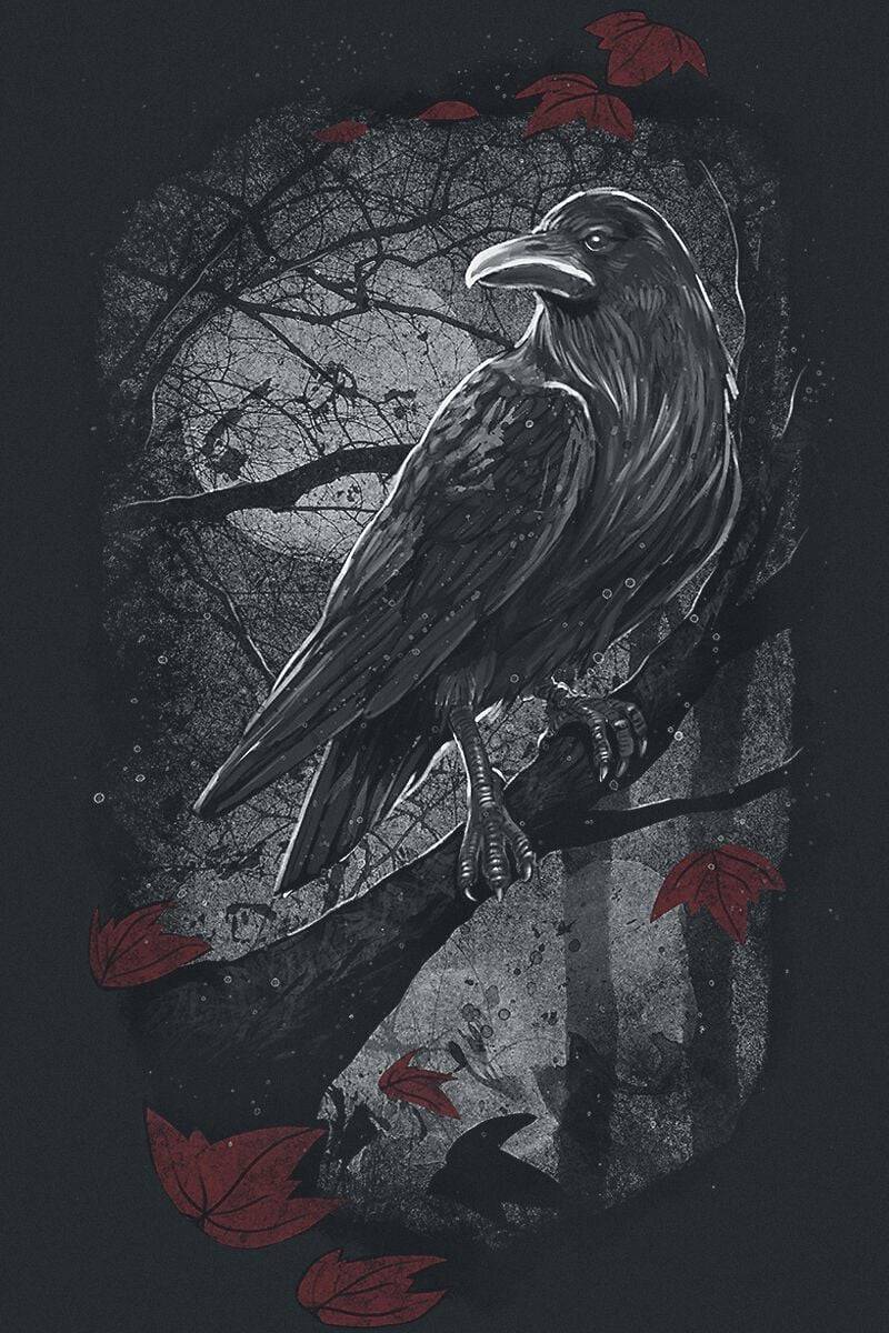 EMP Langarmshirt Schwarz Von Black Premium By EMP