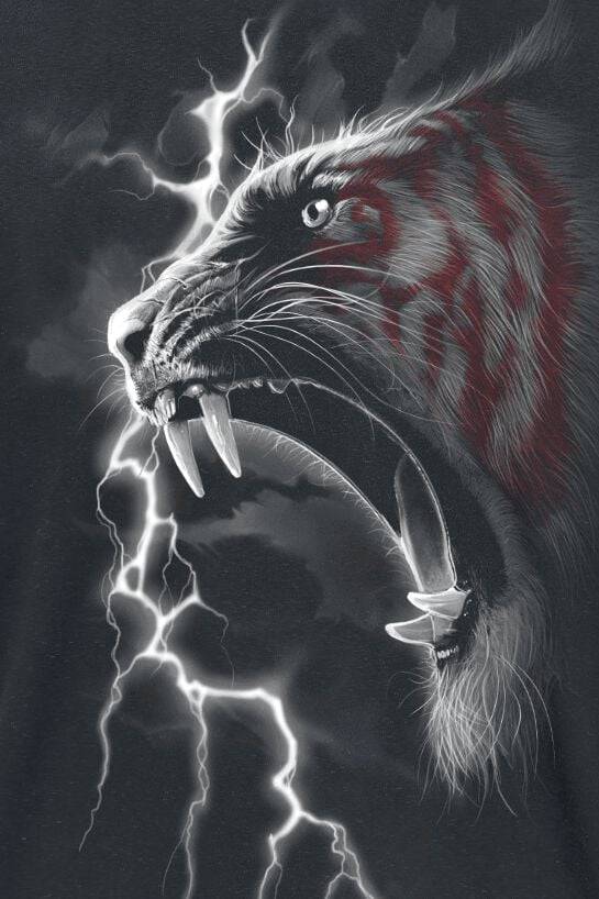 EMP "Mark Of The Tiger" T-Shirt Schwarz Von Spiral