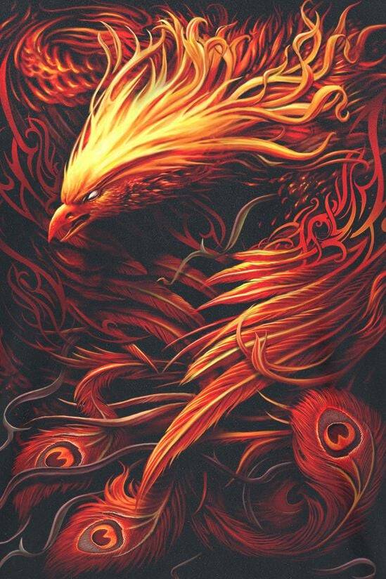EMP "Phoenix Arisen" T-Shirt Schwarz Von Spiral
