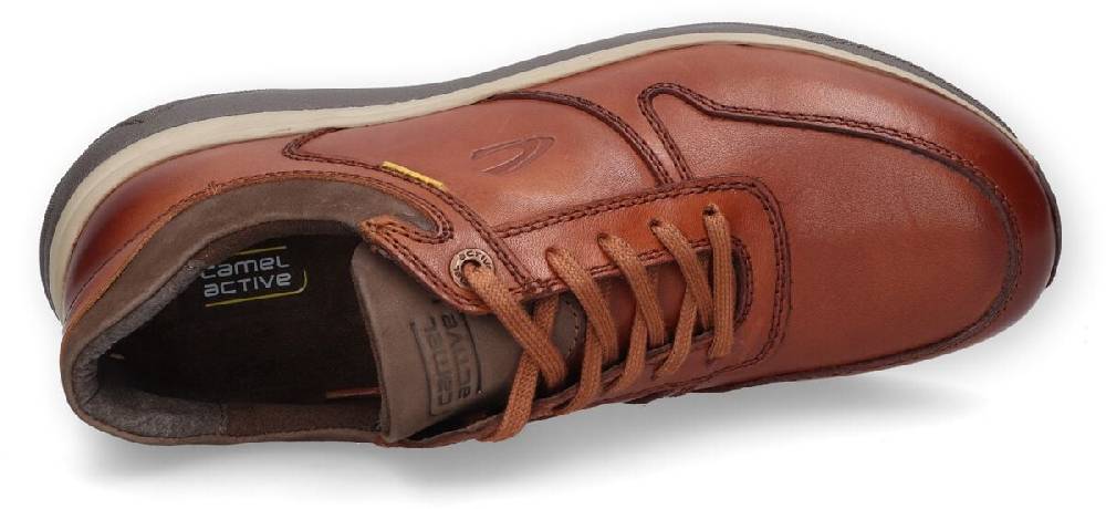 EMP "Sneaker Low" Schnürschuh Braun Von Camel Active
