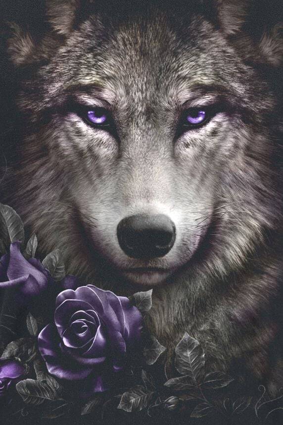 EMP "Wolf Roses" T-Shirt Schwarz Von Spiral