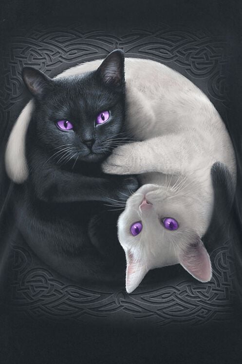 EMP "Yin Yang Cats" Top Schwarz Von Spiral