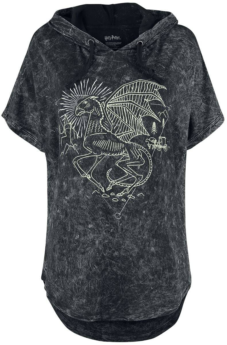 EMP "Forbidden Forest - Thestral" T-Shirt grau von Harry Potter