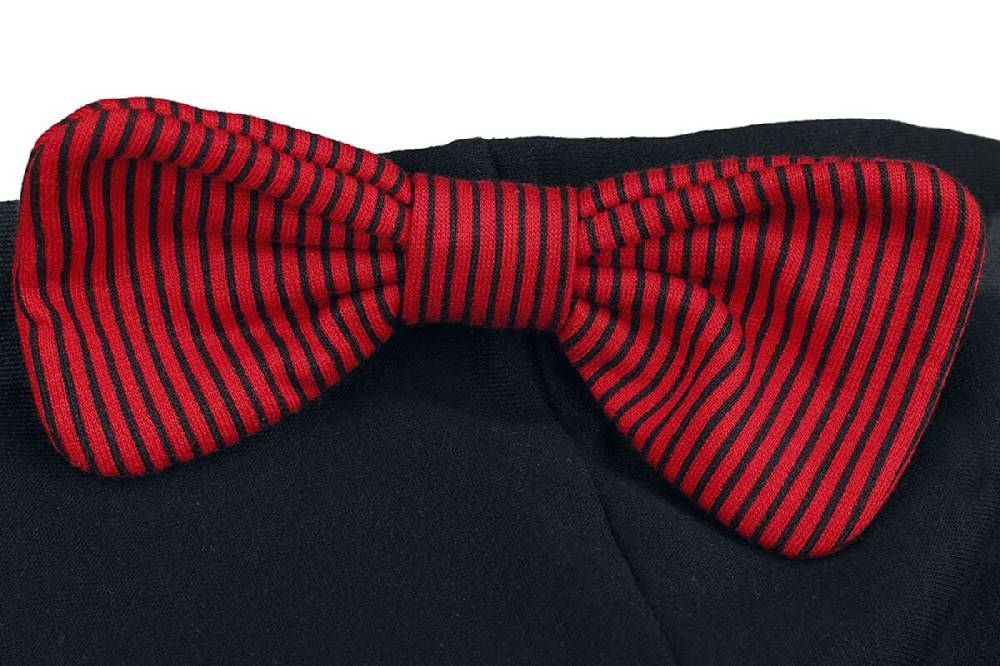 EMP "Gryffindor" Kapuzenjacke Schwarz/rot Von Harry Potter