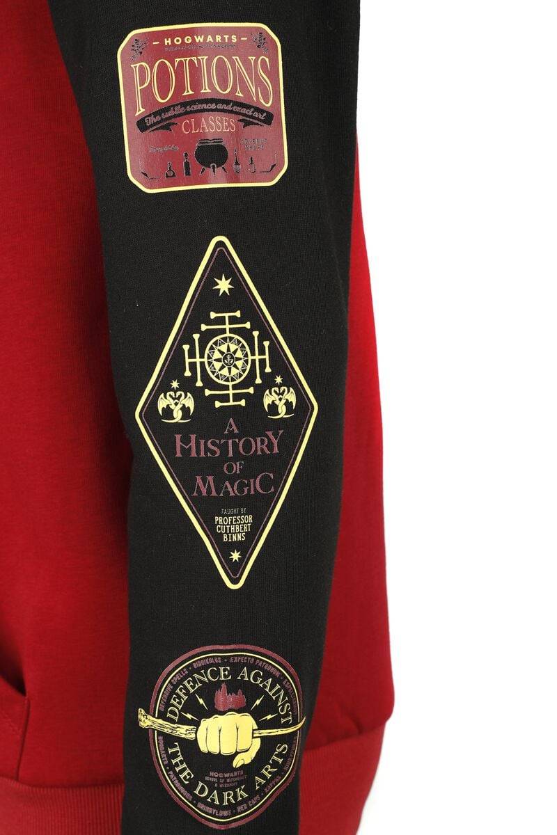 EMP "Gryffindor" Kapuzenpullover Multicolor Von Harry Potter