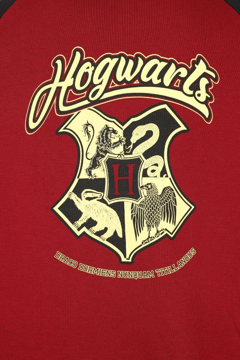 EMP "Gryffindor" Kapuzenpullover Multicolor Von Harry Potter