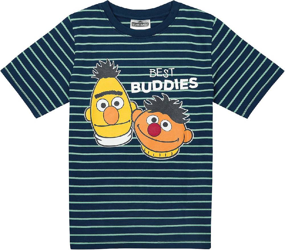 EMP "Kids - Ernie und Bert - Best Buddies" T-Shirt blau/grün von Sesamstraße