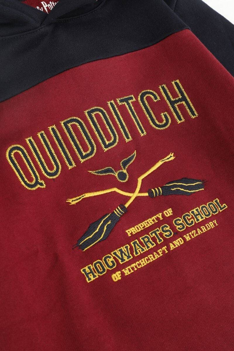 EMP "Kids - Gryffindor - Hogwarts School" Kapuzenpullover Multicolor Von Harry Potter