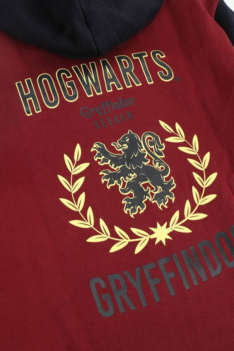 EMP "Kids - Gryffindor - Hogwarts School" Kapuzenpullover Multicolor Von Harry Potter