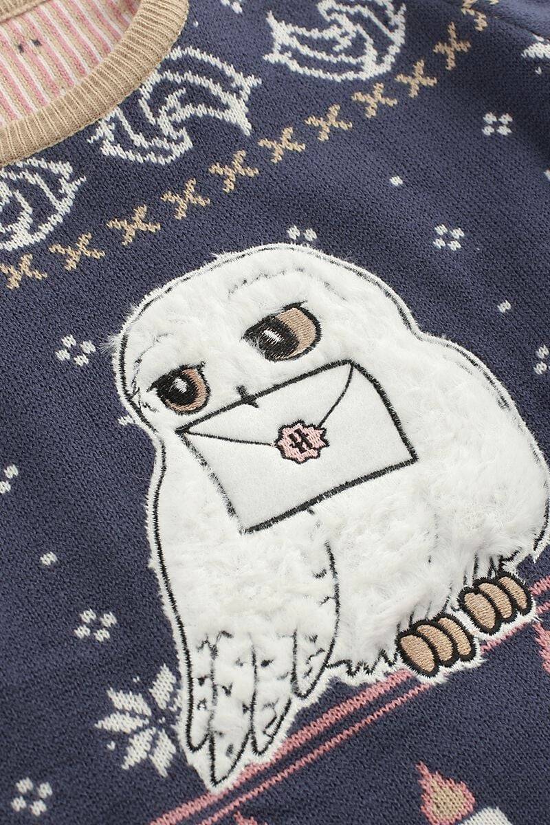 EMP "Kids - Hedwig" Weihnachtspullover Multicolor Von Harry Potter
