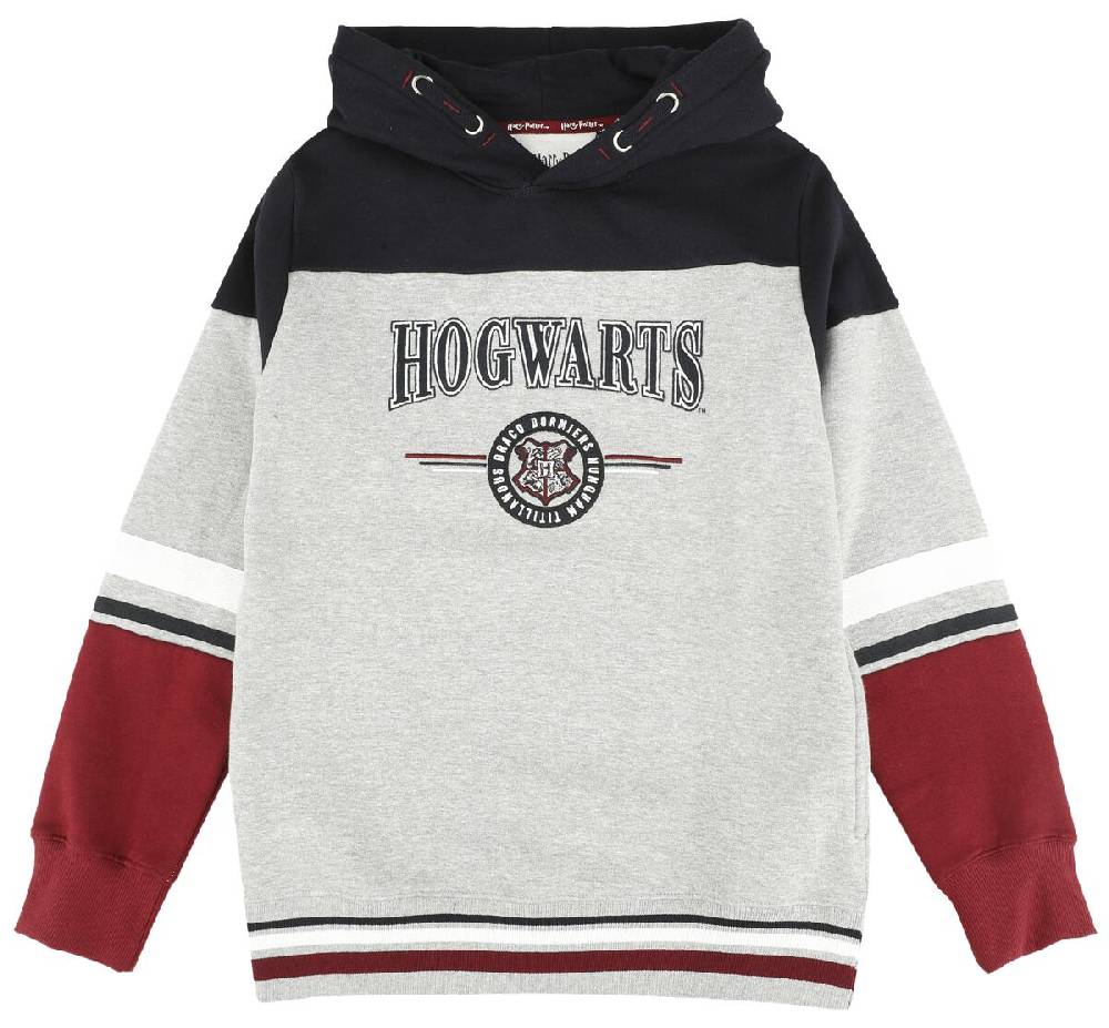 EMP "Kids - Hogwarts - England Made" Kapuzenpullover multicolor von Harry Potter