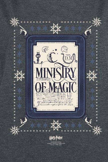EMP "Ministery Of Magic" T-Shirt Grau Von Harry Potter