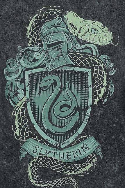 EMP "Slytherin Crest" Top Dunkelgrün Von Harry Potter