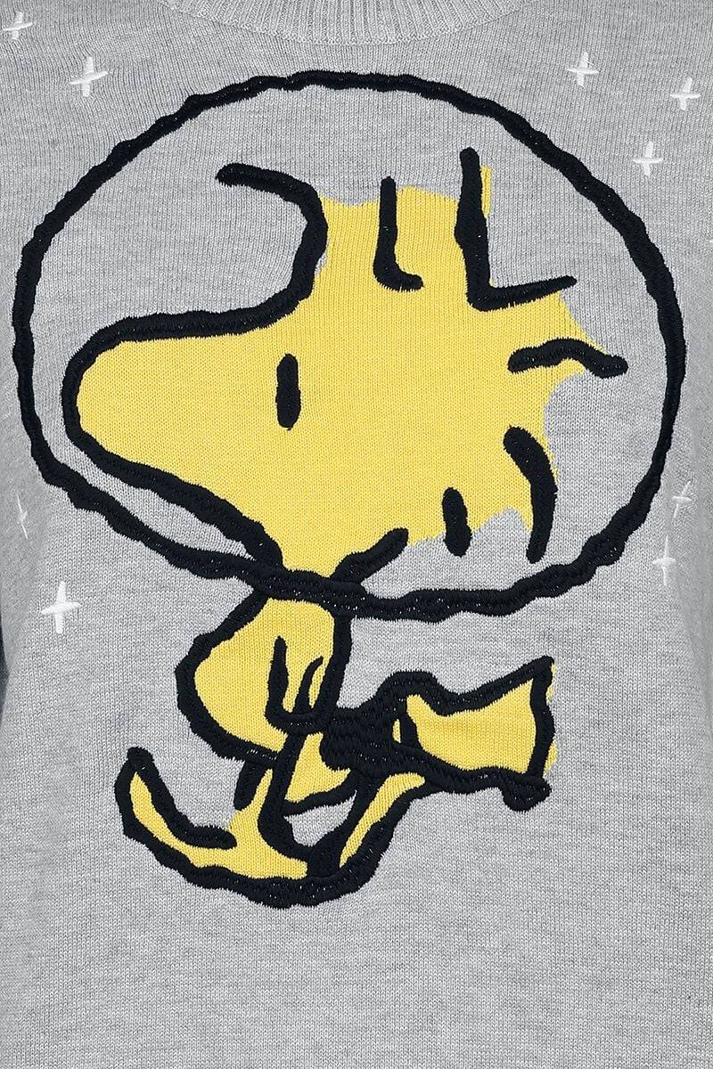 EMP "Woodstock" Strickpullover Grau Meliert Von Peanuts