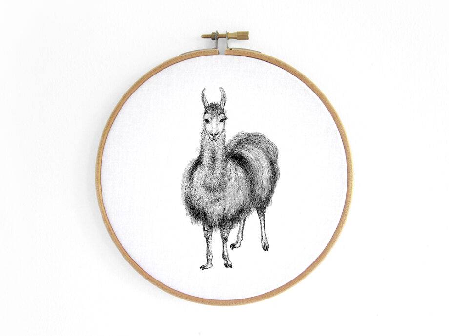 Renna Deluxe Alpaka, Lama _ Bild im Stickrahmen (frontal)