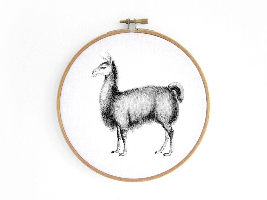 Renna Deluxe Alpaka, Lama _ Bild im Stickrahmen (seitlich)