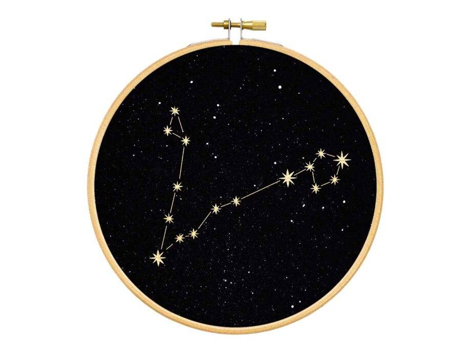 Renna Deluxe Fische Sternzeichen Bild im Stickrahmen