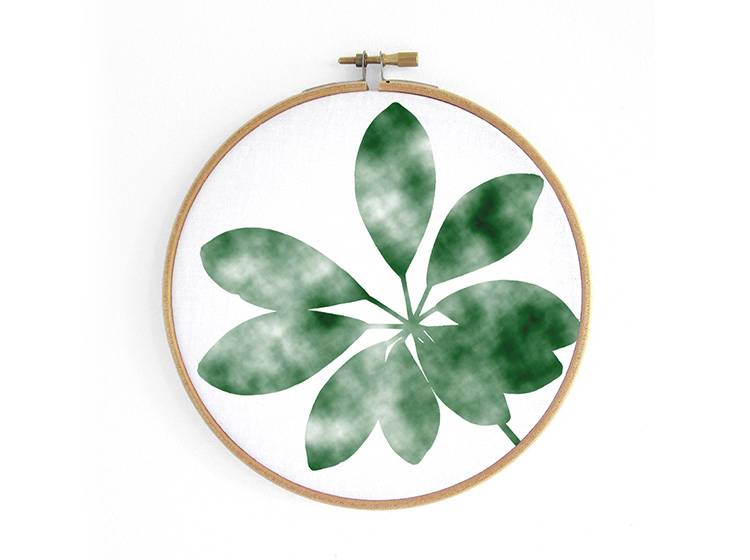 Renna Deluxe Bergaralie _ Bild im Stickrahmen