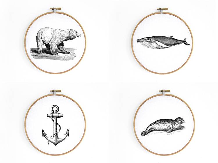 Renna Deluxe Buckelwal _ Wal Im Stickrahmen