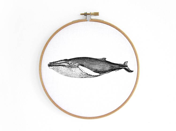 Renna Deluxe Buckelwal _ Wal im Stickrahmen