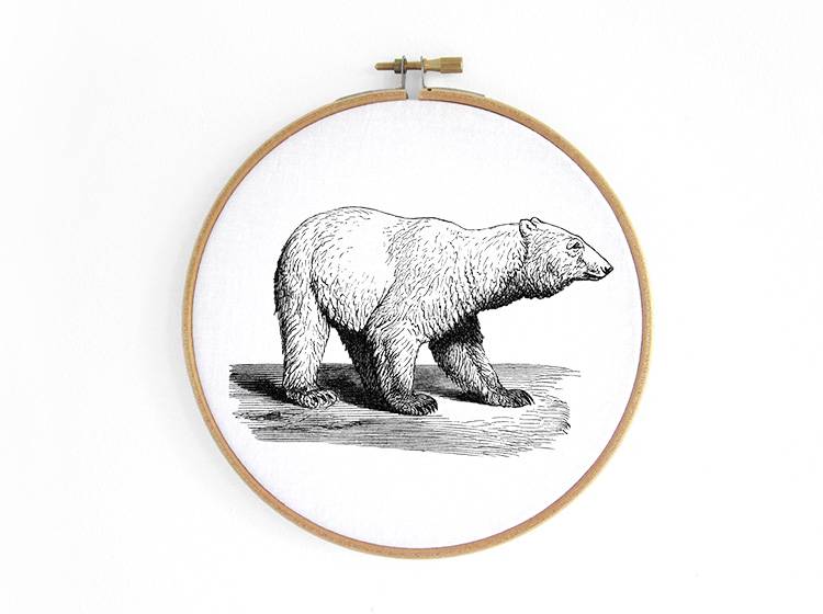 Renna Deluxe Eisbär _ Bild im Stickrahmen