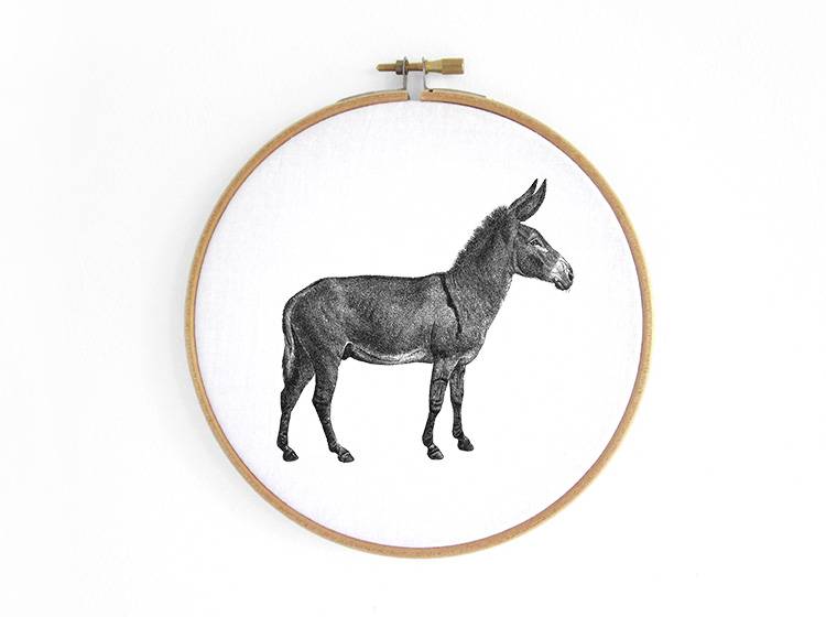 Renna Deluxe Esel _ Bild im Stickrahmen