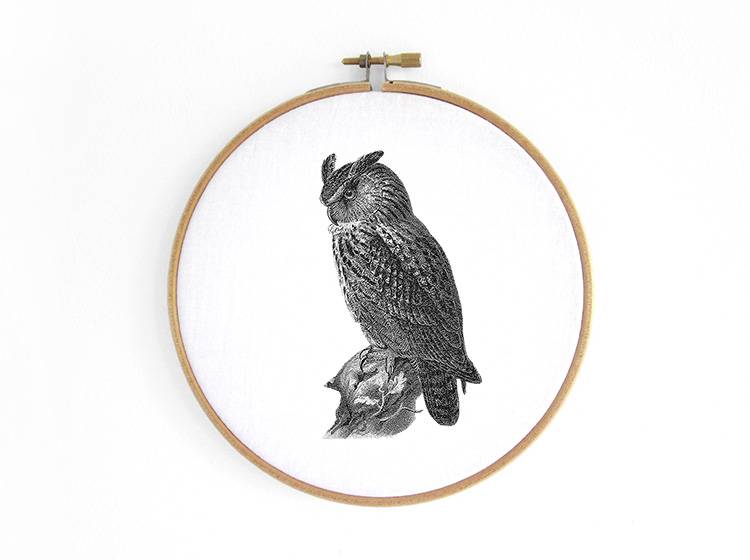 Renna Deluxe Eule _ Bild im Stickrahmen