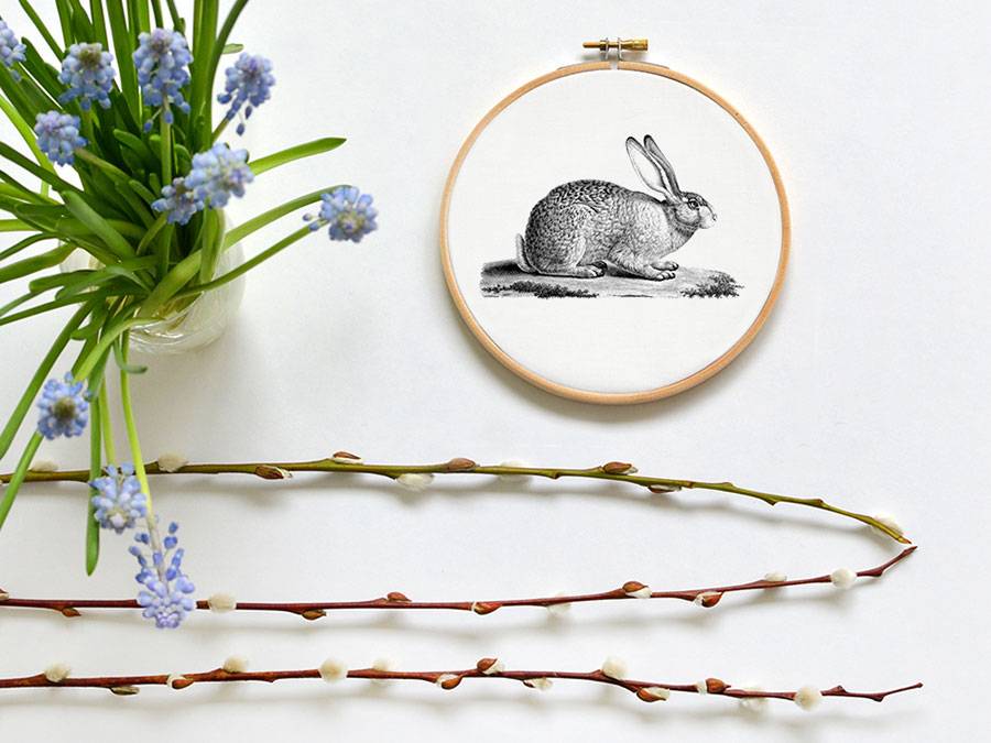 Renna Deluxe Hase _ Bild Im Stickrahmen