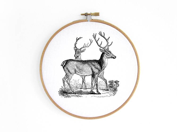 Renna Deluxe Hirsch & Reh _ Bild im Stickrahmen