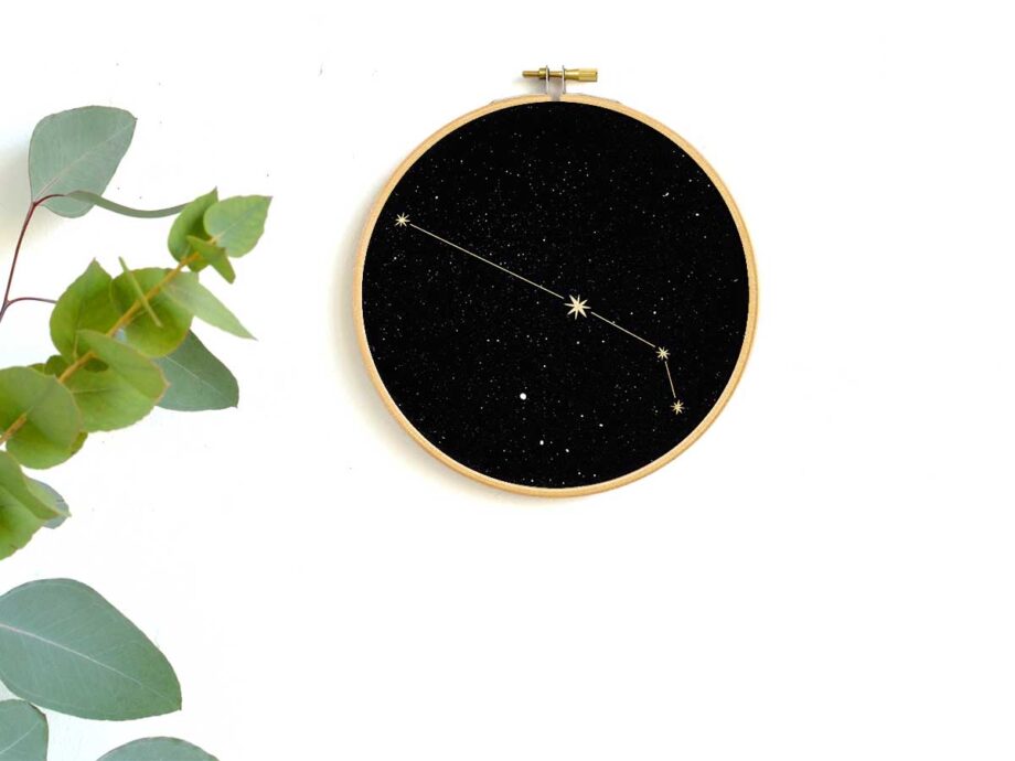 Renna Deluxe Löwe Sternzeichen Bild Im Stickrahmen