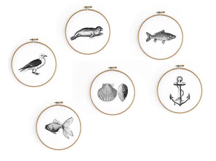 Renna Deluxe Maikäfer _ Bild Im Stickrahmen