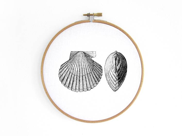 Renna Deluxe Muschel _ Bild im Stickrahmen