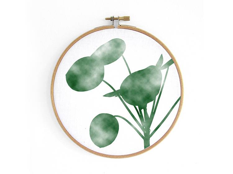 Renna Deluxe Pilea _ Bild im Stickrahmen