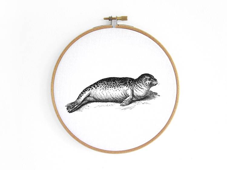 Renna Deluxe Robbe _ Bild im Stickrahmen